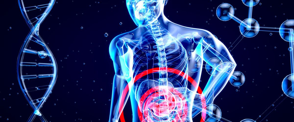 Gesunder Darm &ndash; Mehr Schwung im Alltag